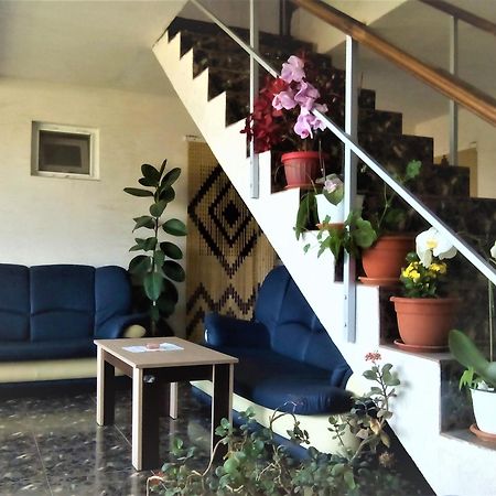 Vila Nico Costinesti Luaran gambar